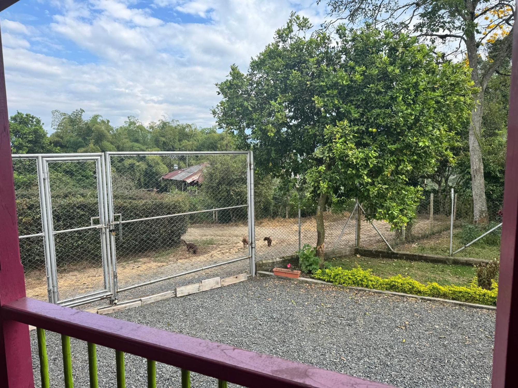 La Victoria * Marsella (Risaralda)